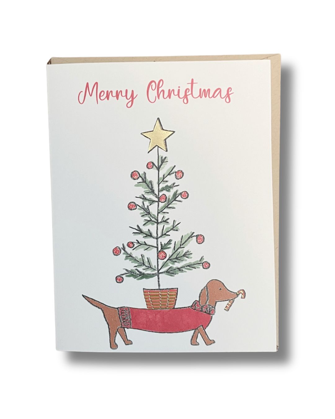 Merry Christmas Dog